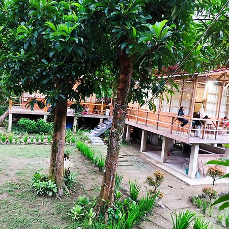 Bua Guesthouse Tangkahan Esterno foto