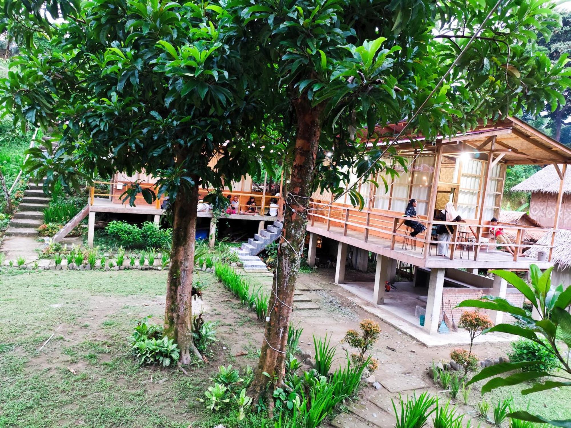 Bua Guesthouse Tangkahan Esterno foto