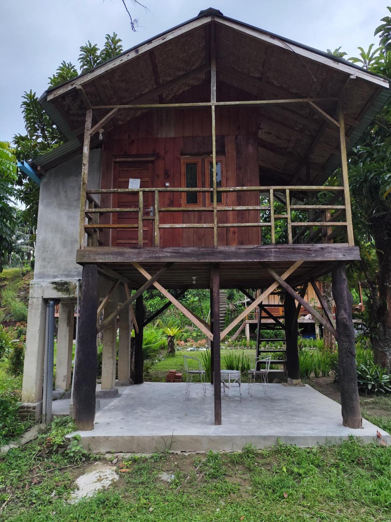 Bua Guesthouse Tangkahan Esterno foto