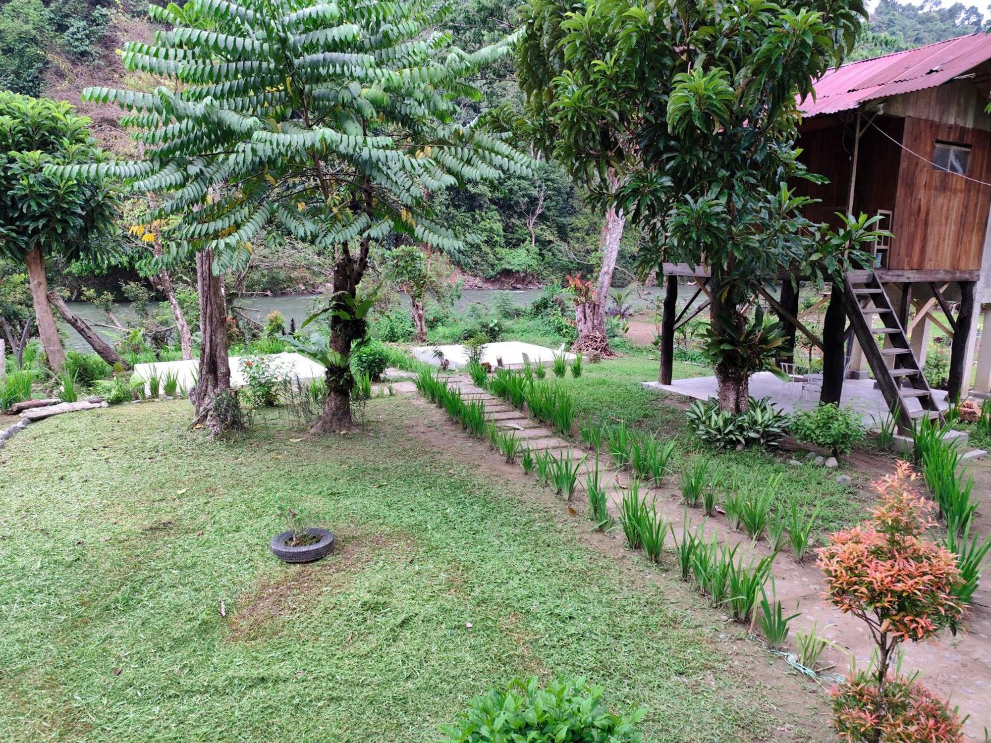 Bua Guesthouse Tangkahan Esterno foto