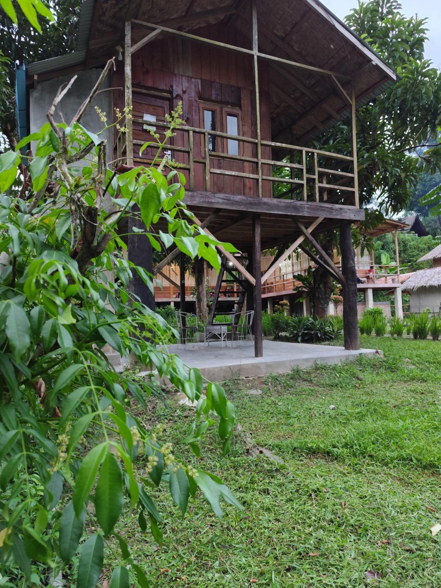 Bua Guesthouse Tangkahan Esterno foto